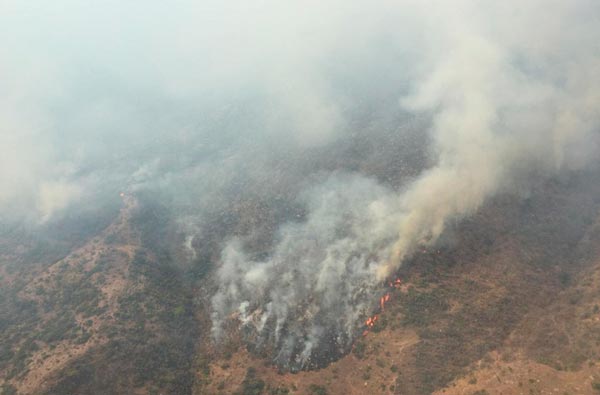 Impactantes Im Genes Del Incendio De Chilpancingo