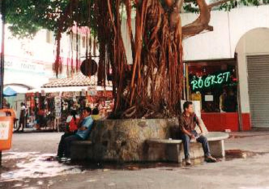 Espacial-Zocalo-Acapulco