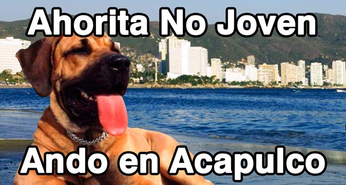 Ahorita No Joven al estilo Acapulco