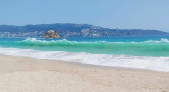 Playas de Acapulco recuperan su belleza ante la falta de turistas