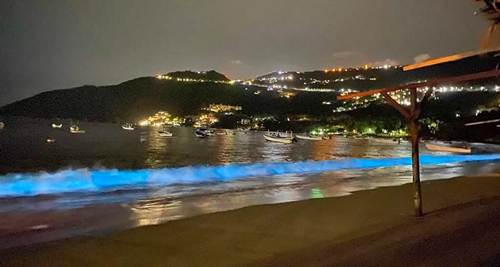 Fenómeno de bioluminiscencia sorprende en Puerto Marqués